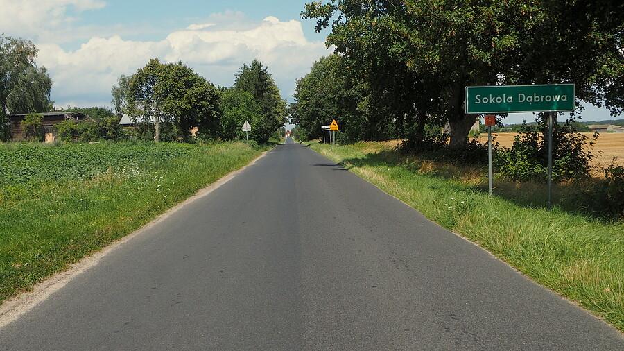 Droga prowadząca do Sokola Dąbrowa
