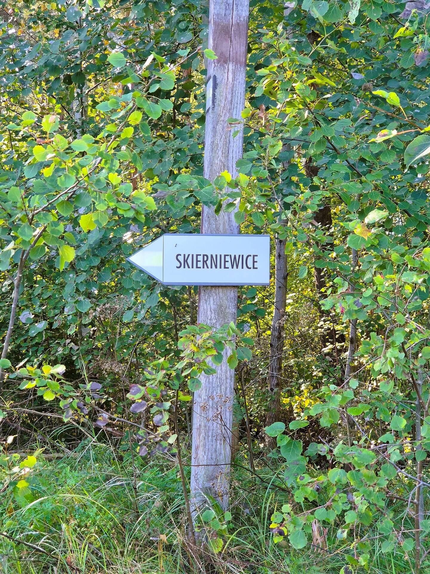 Znak kierunkowy do Skierniewic