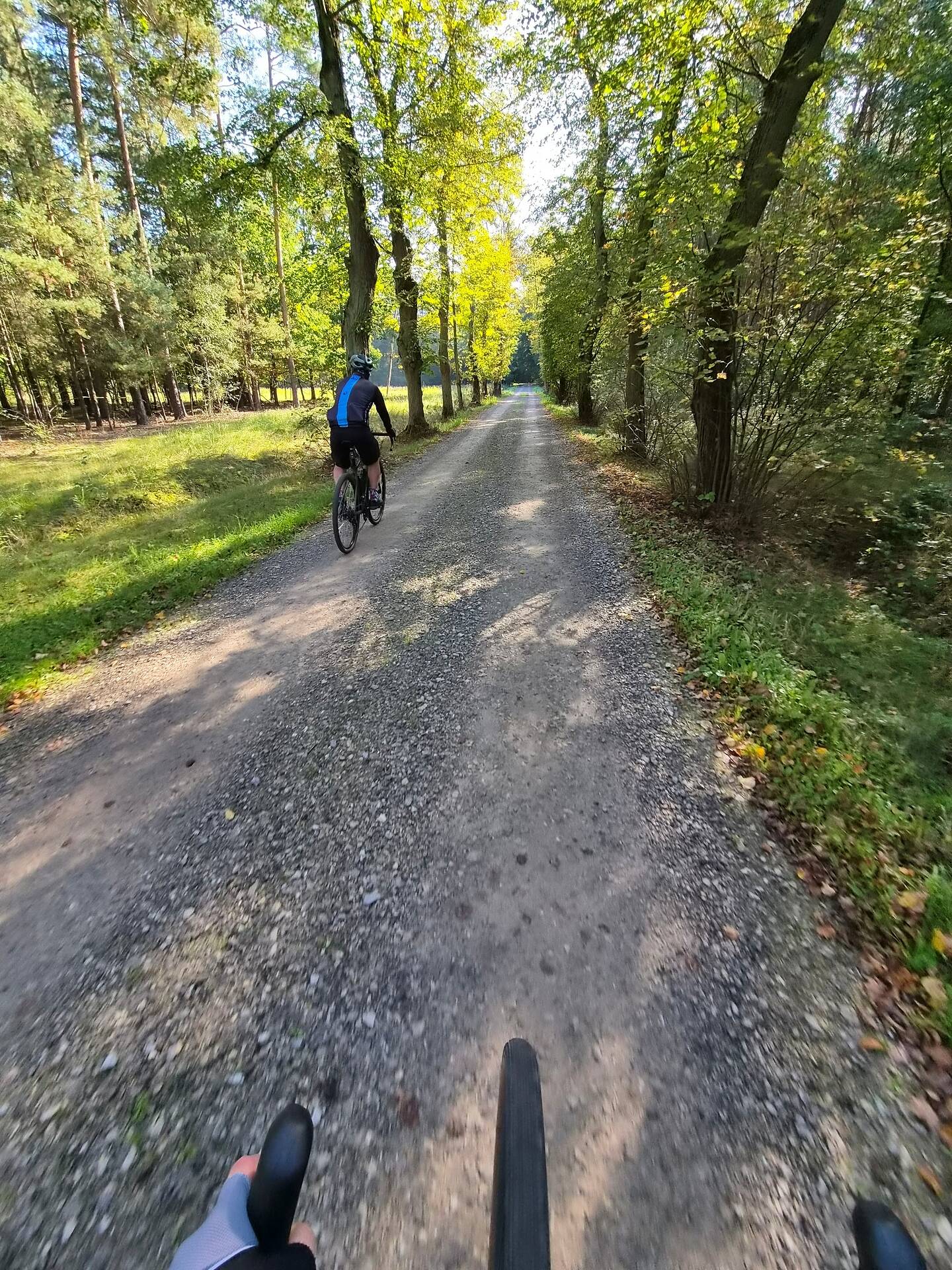 Trakt Budnicki