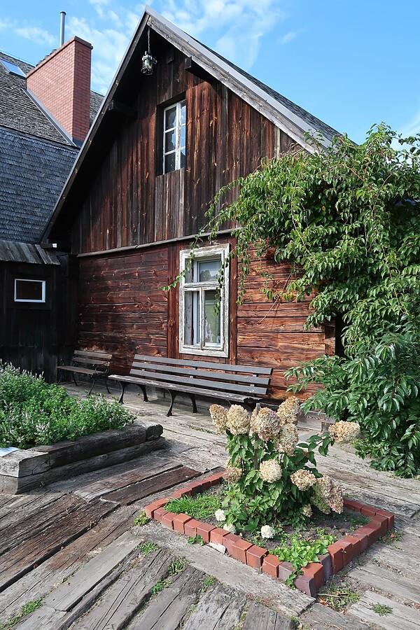 Hortensje przed drewnianym domem