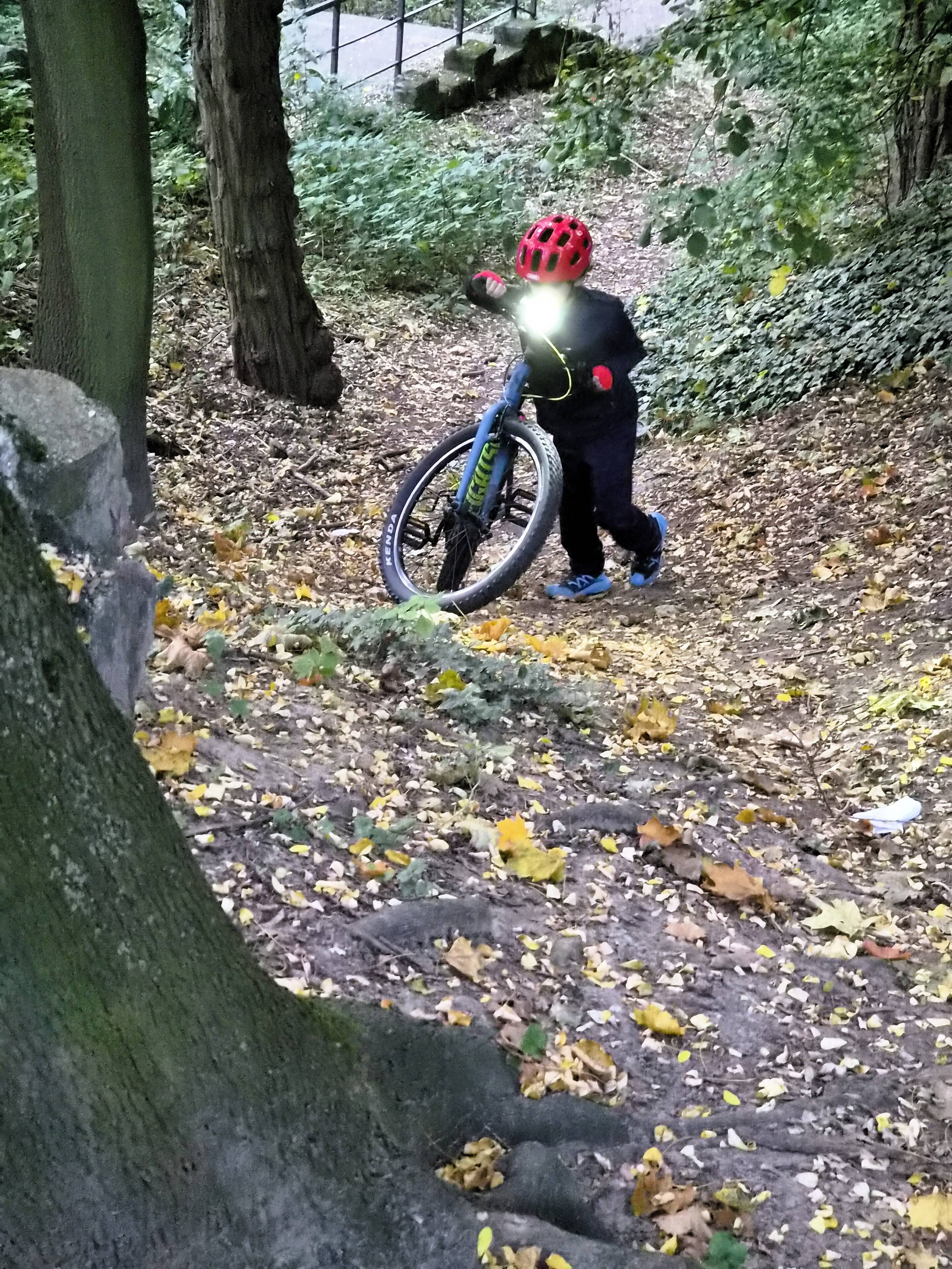 Dziecko na rowerze na leśnej ścieżce