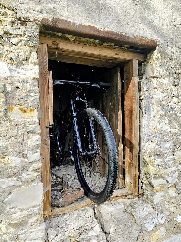 Proca vel