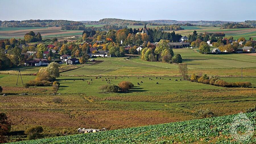 Roztoczańskie Pagóry