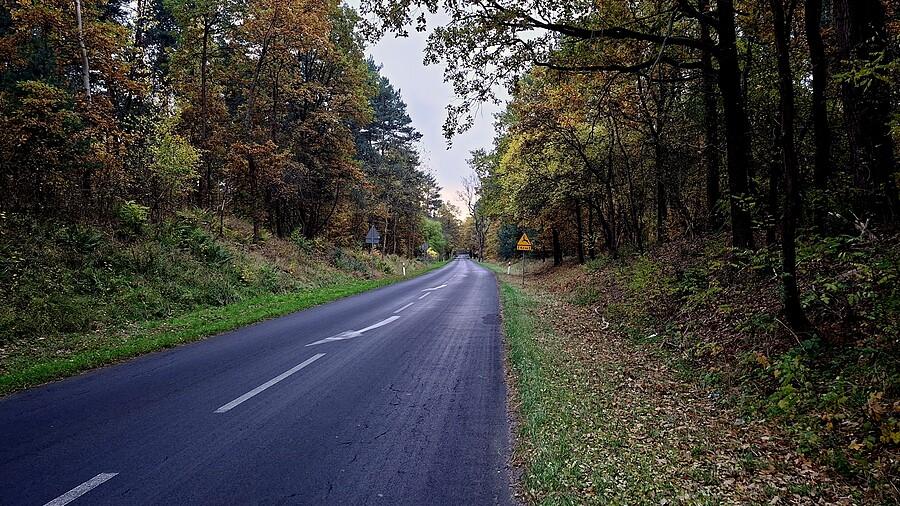Szosa w jesiennym wystroju