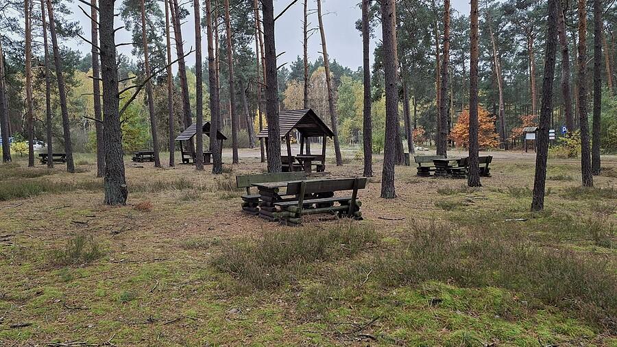 Piknik w lesie z drewnianymi stołami