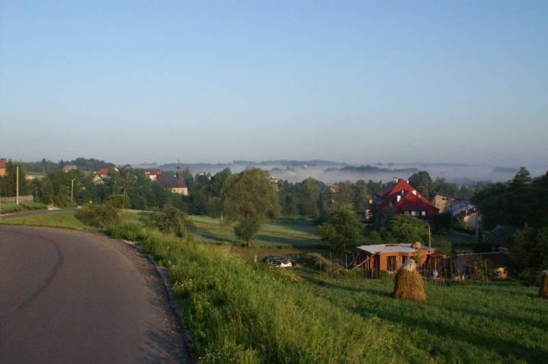 Niedżwiedza