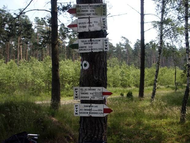 las tanowski, drogowskazy, puszcza wkrzańska