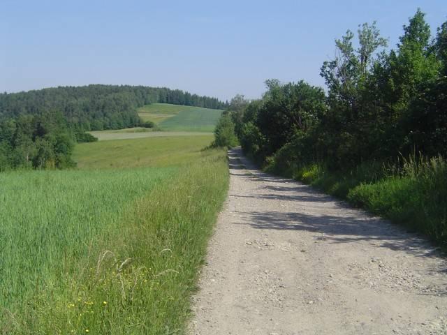 Roztoka Brzeziny - Podgórze rożnowskie