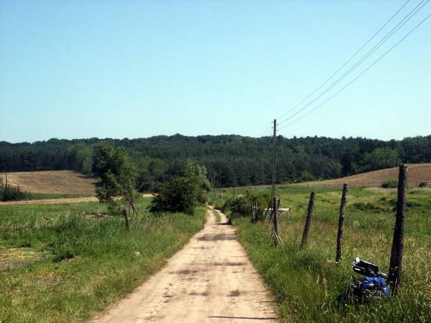 widuchowa