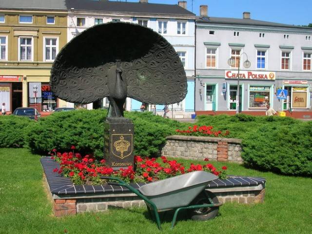 736.jpg
