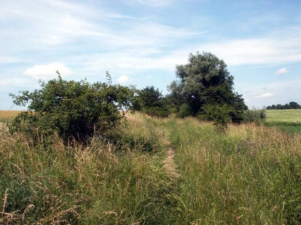 barnisław, karwowo, droga