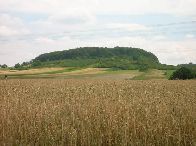 widok
