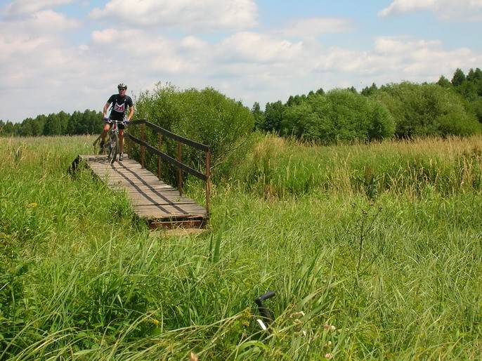 bike orient, imprezy