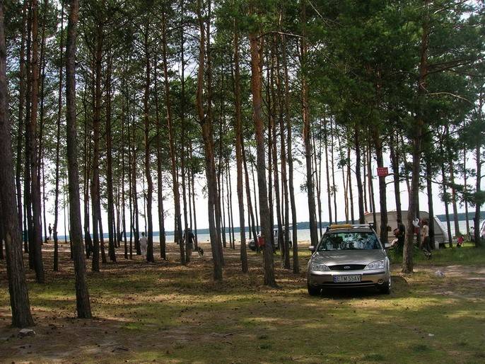 lasek, samochód