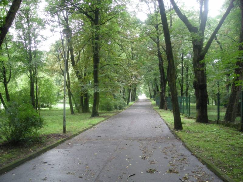 Brzesko - Park miejski