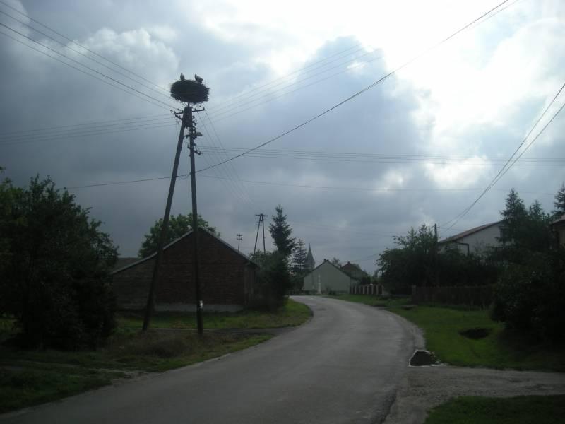 bielcza, bociany