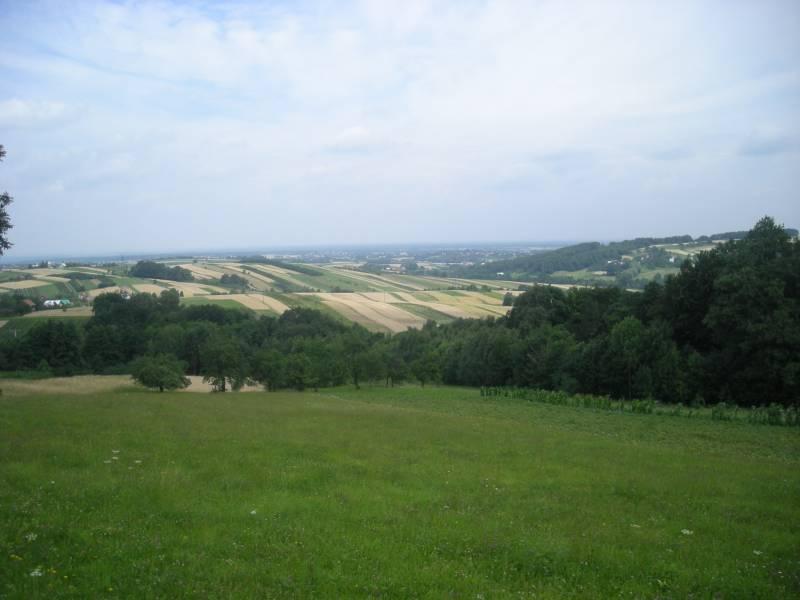 jaworsko