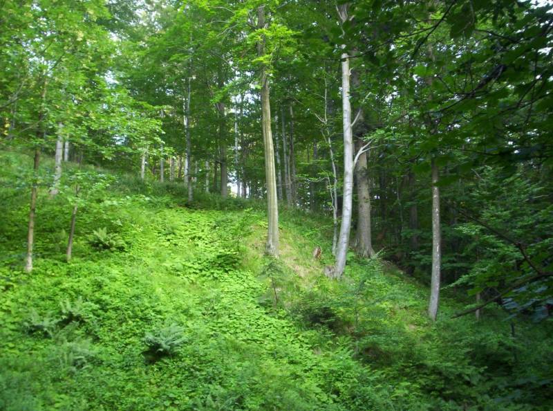 pętla, wapienica