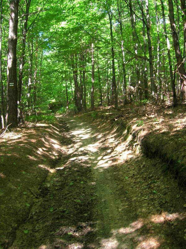 jura, okolice, piach