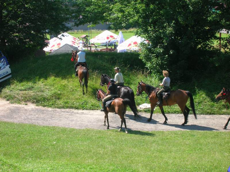 jura, okolice, konie