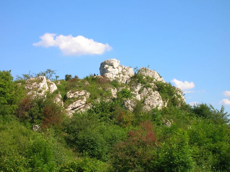 jura, okolice, skałki