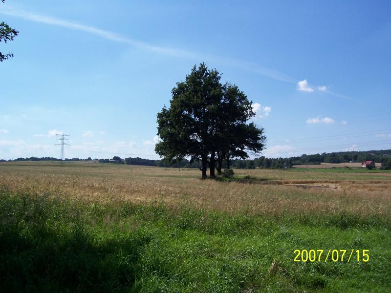 widok z górki mikołowskiej