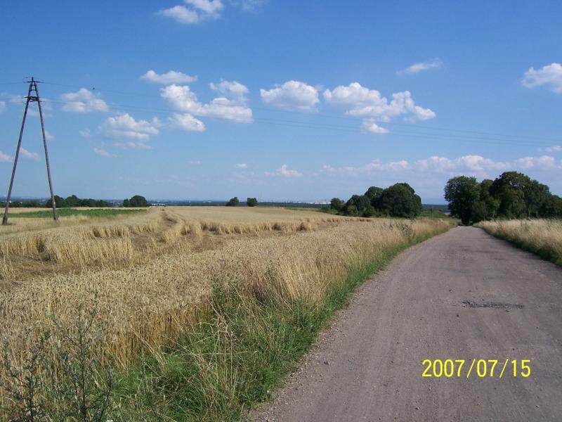 widoku ciąg dalszy