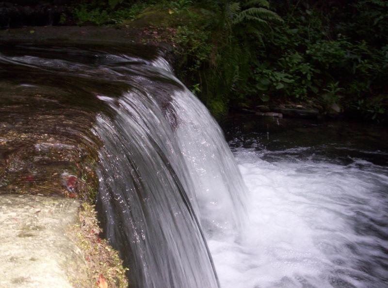 wapienica