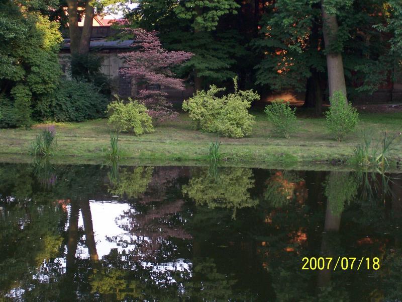park zamkowy