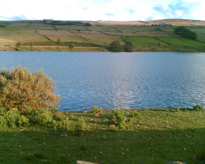 ponden reservoir