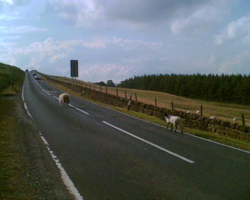countryside