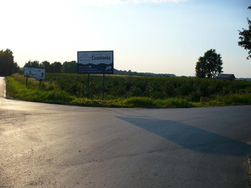 cisowianka