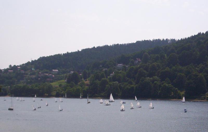 regaty, optimist, żywieckie