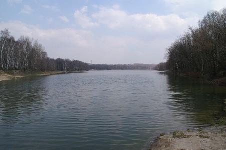 Rogożnik - zbiornik wodny
