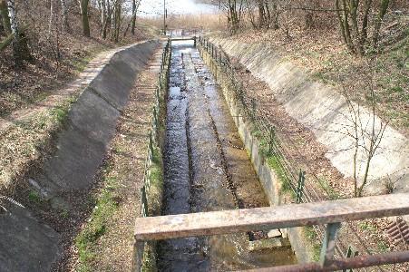 Rogożnik i se strumyk płynie