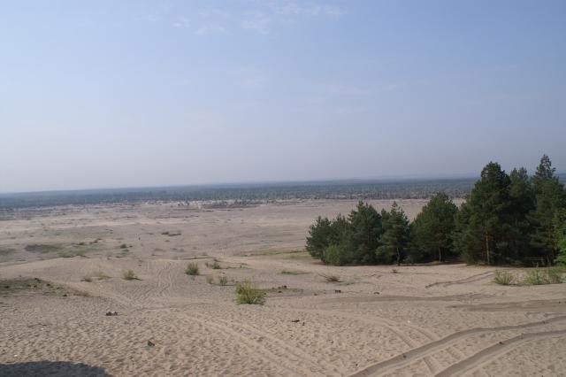Chechło - Pustynia błędowska (Polska Sahara)