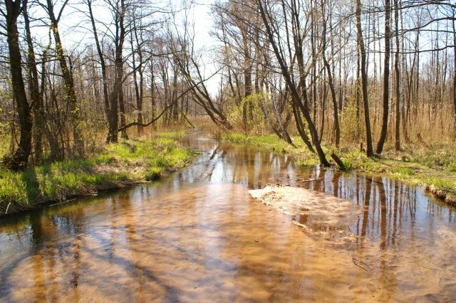Błedów - BIAŁA PRZEMSZA