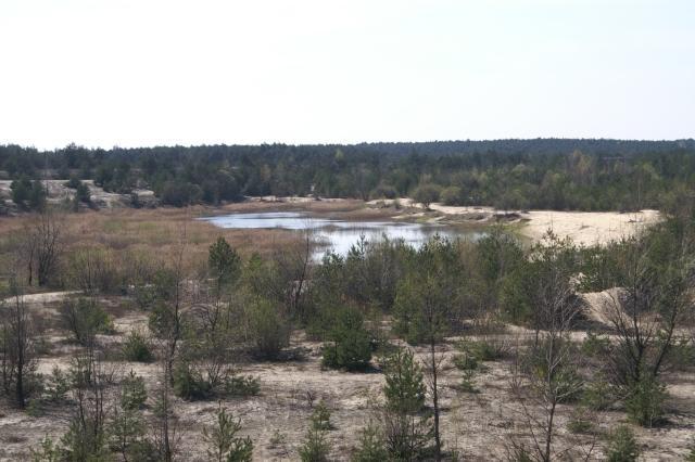 Bukowno - Staw