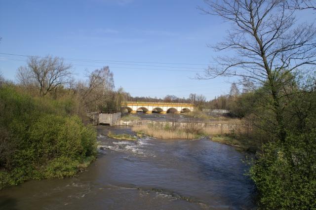 Sosnowiec maczki