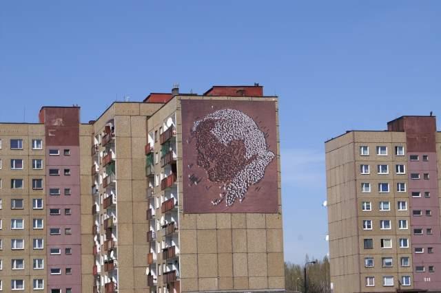 Sosnowiec - Gwiezdna jeden z ich bloków