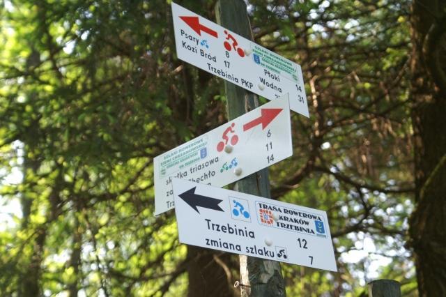 Puszcza dulowska i szlaki rowerowe Jury.....
