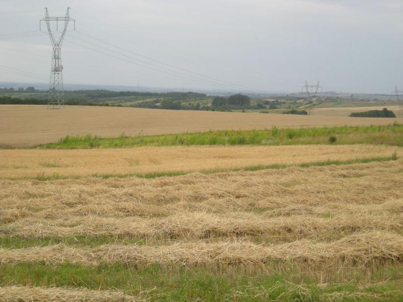 ogrodzieńiec, podzamcze