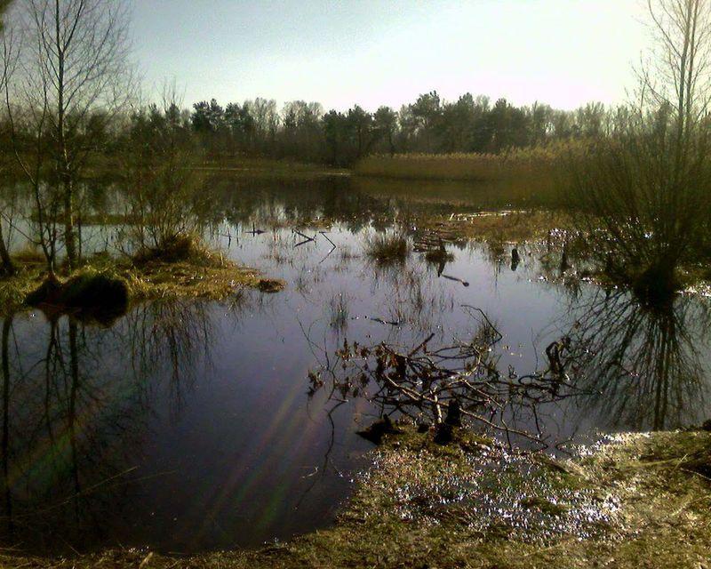 Mazowiecki Park Krajobrazowy [Warszawa, Polska]