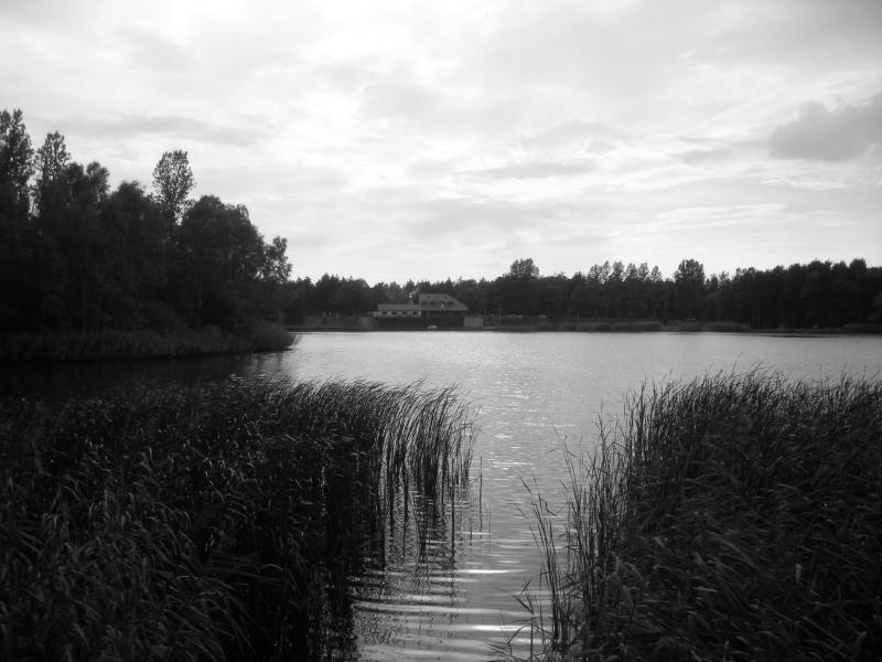 sosnowiec, sosnowiec balaton