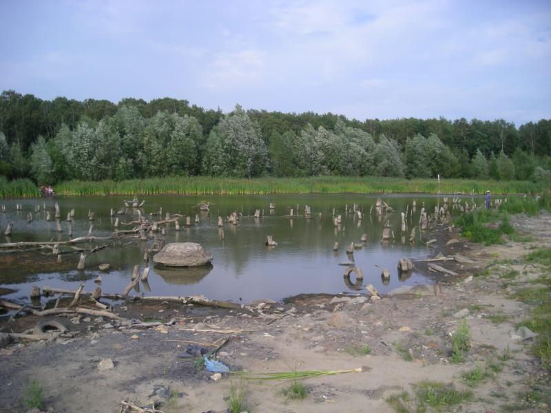 staw, sosnowiec, zagórze