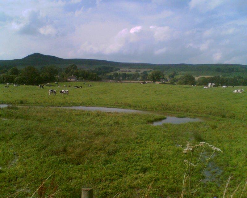 embsay