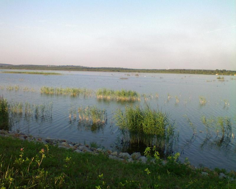 4pogoria1