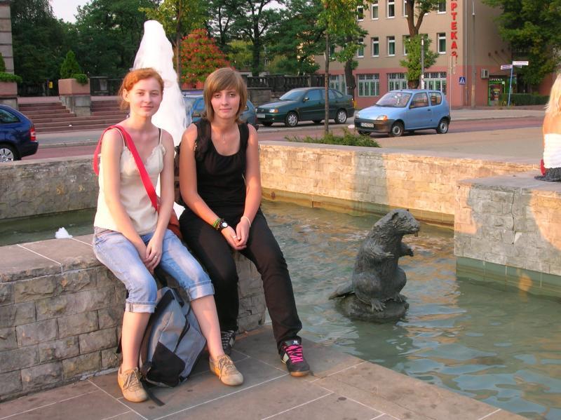 dąbrowa