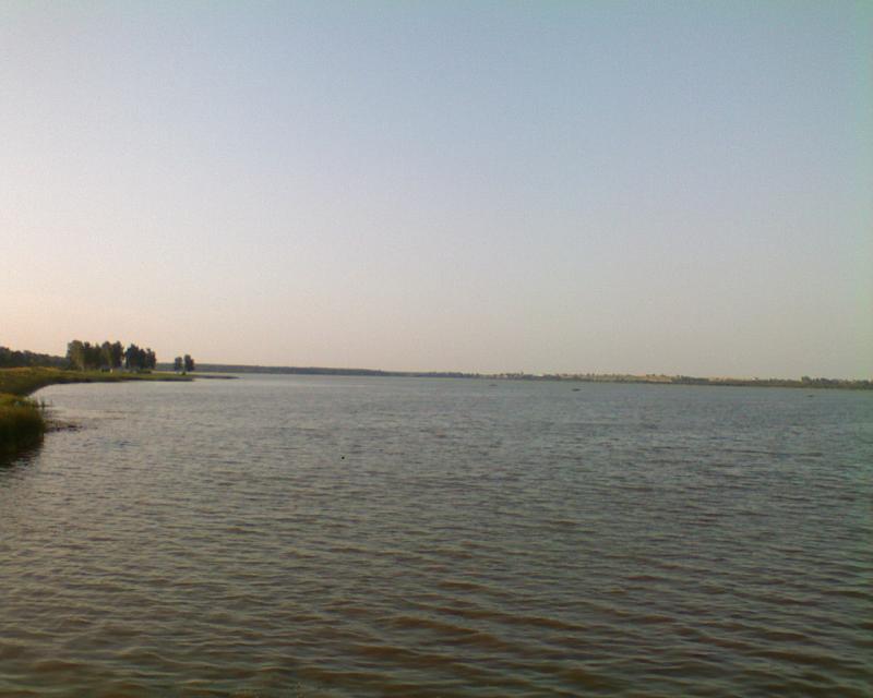 świerkol1