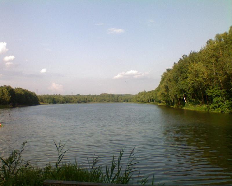 rogoźnik2